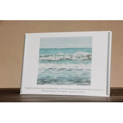 Repr. -Te seguiré a donde me lleves Acua-0034