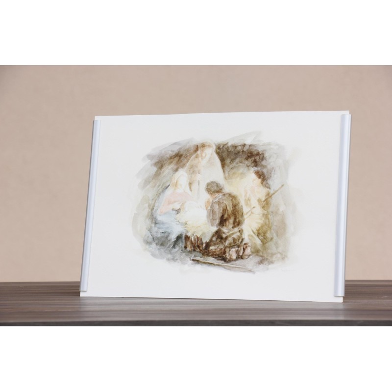 Repr. Vivo con sol después de este encuentro AcuaNav003