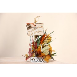 Jaula: Me has robado el corazón FL164 · REG1517