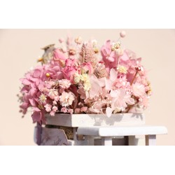 Camión: Tu vida es una bendición (rosa) FL111r · REG1503