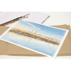 Repr.- Valencia: Barcas en l'Albufera - AcuaVal1307