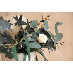 Centro Campodanno. FL013 · FLOR14