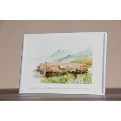 Repr. -Hay quienes tienen el talento... Acua-0033