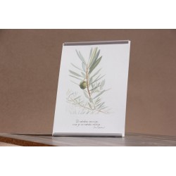 Repr. -Tú estabas conmigo más yo no estaba contigo Acua-0010