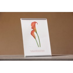 Repr. -Tu amor, tu Verdad, iban destilándose suavemente en mi corazón Acua-0014