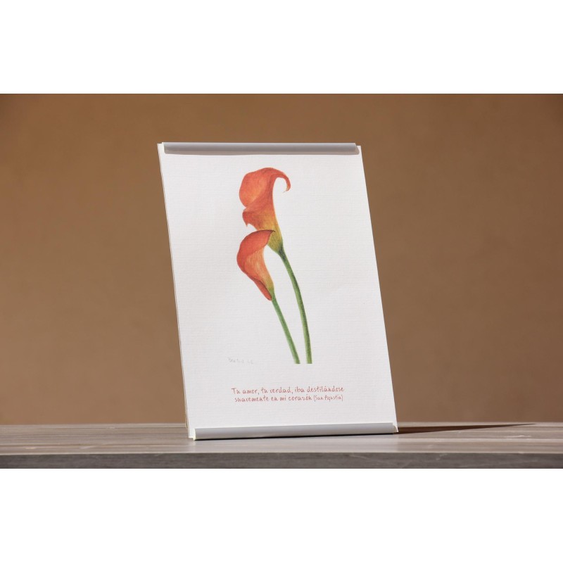 Repr. -Tu amor, tu Verdad, iban destilándose suavemente en mi corazón Acua-0014