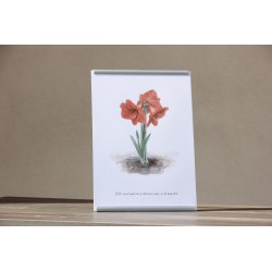 Repr. -Este vivir mío no es solo mi vivir, es el nuestro Acua-0015