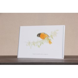 Repr. -Siempre es posible volver a empezar Acua-0020