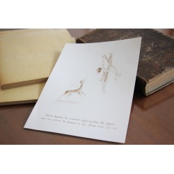 Repr. -Como busca la cierva... Acua-0004