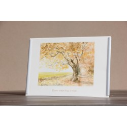 Repr. -El amor siempre llega a tiempo Acua-0031