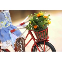 Con amor todo va sobre ruedas K003n · REG3