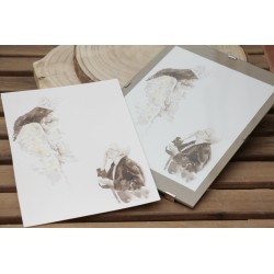 Repr. -Valencia: Un beso a la Virgen de los Desamparados - AcuaVal1302