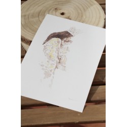 Repr. -Valencia: LaVirgen de los desamparados - AcuaVal1306