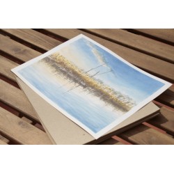 Repr.- Valencia: Barcas en l'Albufera - AcuaVal1307