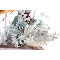 Quien no arriesga, no vive. K009 · REG9