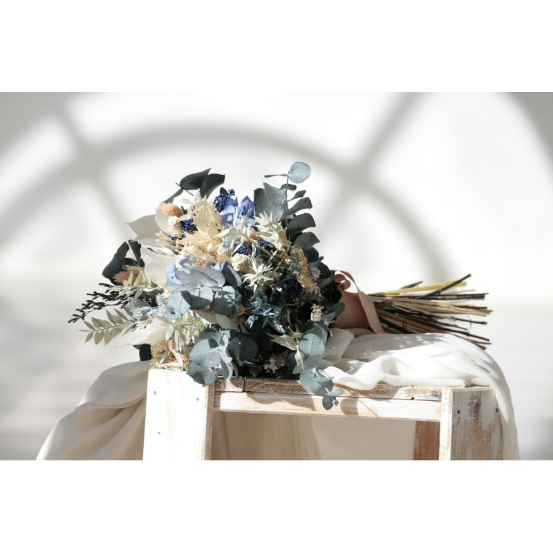 Ariadna Ramo. BBC020