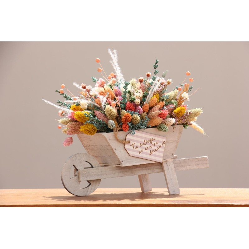 Carretilla Anastasia · Tu entrega no conoce descanso. FL095 · REG1501