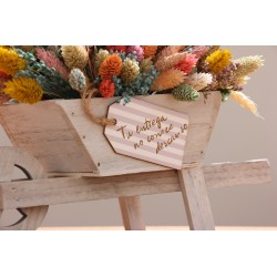 Carretilla Anastasia · Tu entrega no conoce descanso. FL095 · REG1501