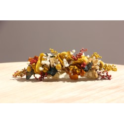 Hilda Tocado (pequeño). BBC013-