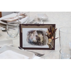 TjNav004: Vivo con sol después de este encuentro · NAV104