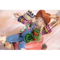 No me espantas... ¡me encantas! K118 · REG118