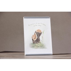 Repr. -Por amor a los que te aman no te rindas 2 - Acua-0006