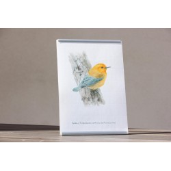 Repr. -Sueña y te quedarás corto Acua-0007