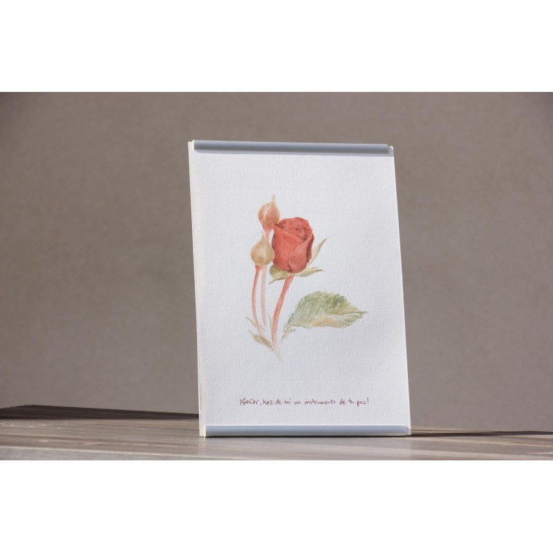 Repr. -Señor, haz de mí un instrumento de tu paz Acua-0011