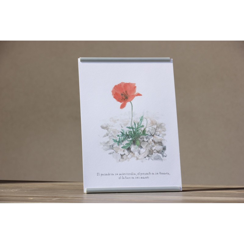 Repr. -El pasado en su misericordia... Acua-0013