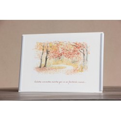 Repr. -Cuantos momentos vividos que no se perderan nunca... Acua-0032