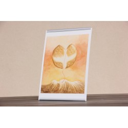 Repr. -Lamina Pan partido Acua-0036